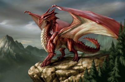 Dragon rouge
